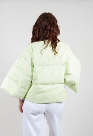 Feather Down Jacket with Collar in Green