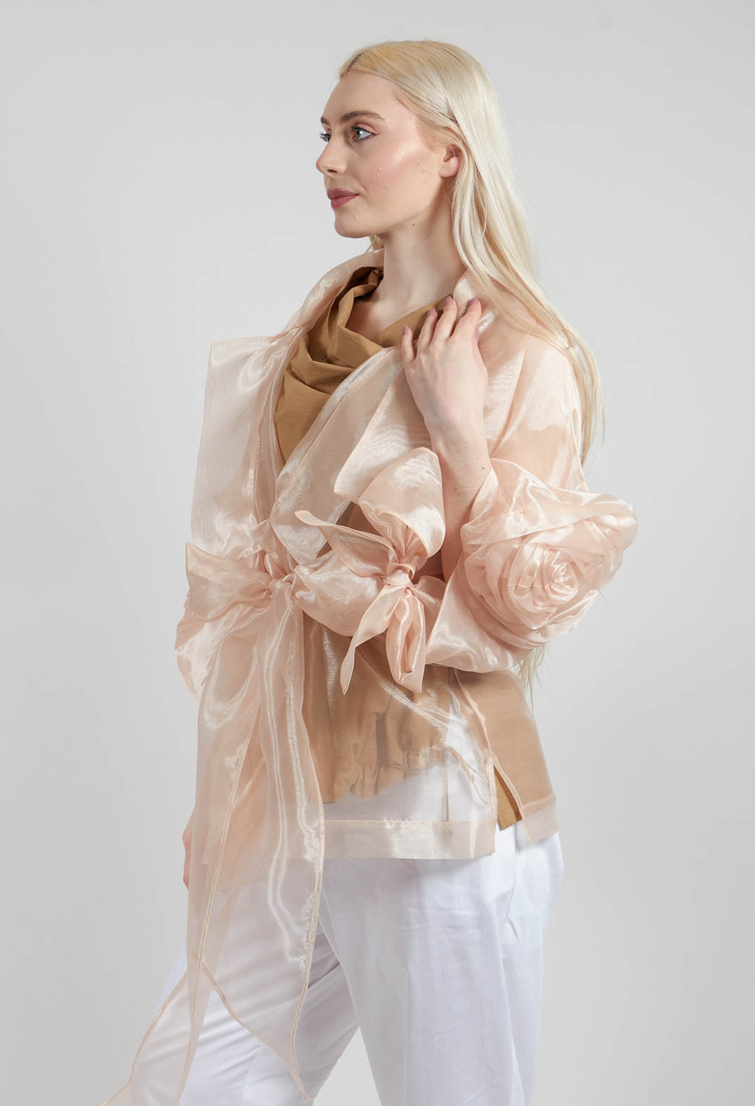 Sheer Jacket in Beige