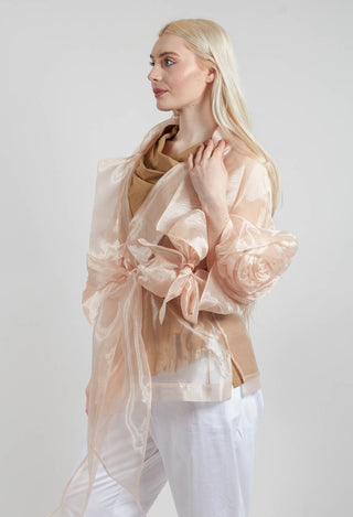 Sheer Jacket in Beige