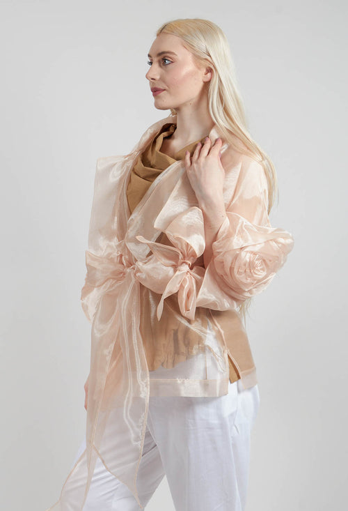 Sheer Jacket in Beige