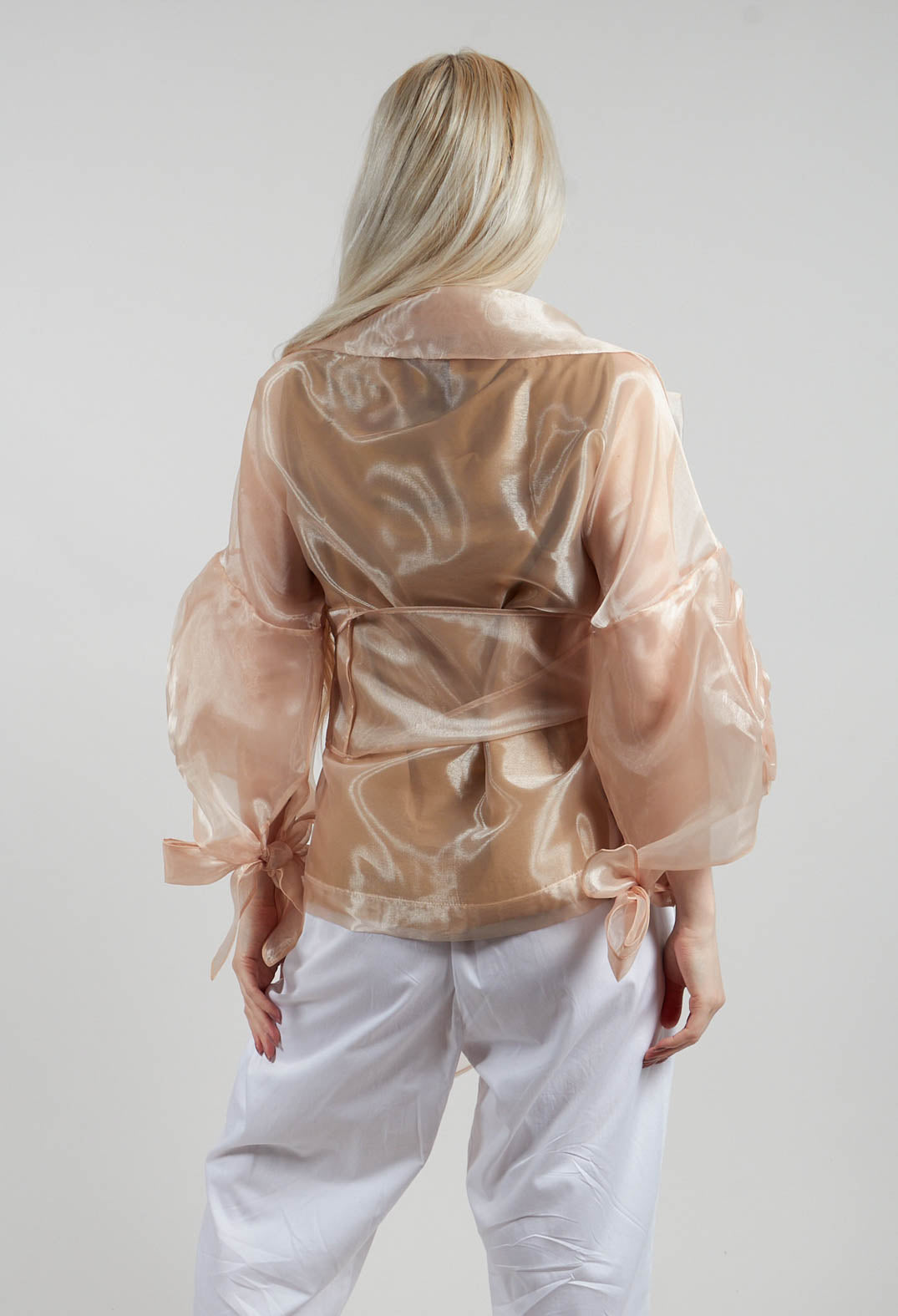 Sheer Jacket in Beige