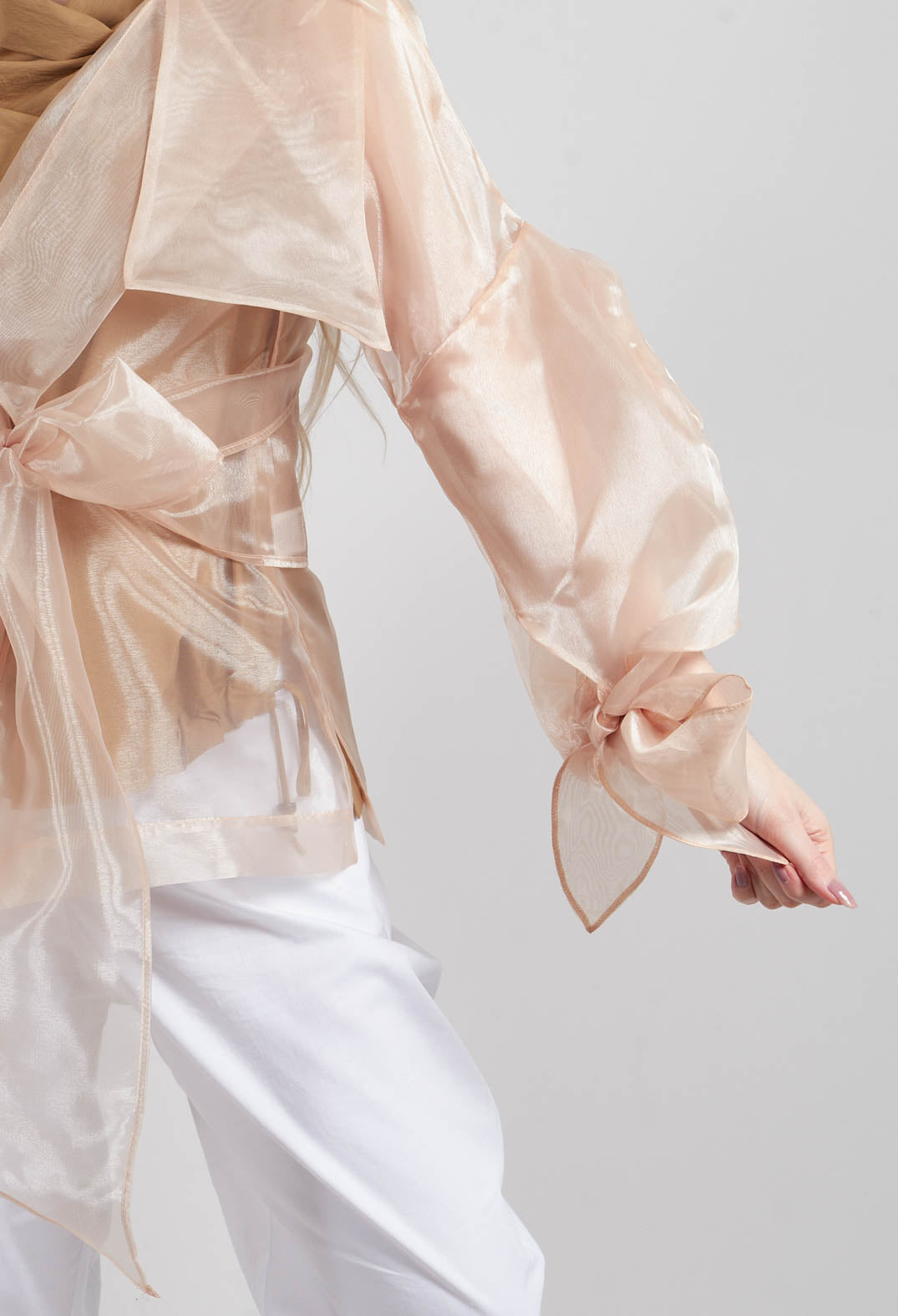 Sheer Jacket in Beige