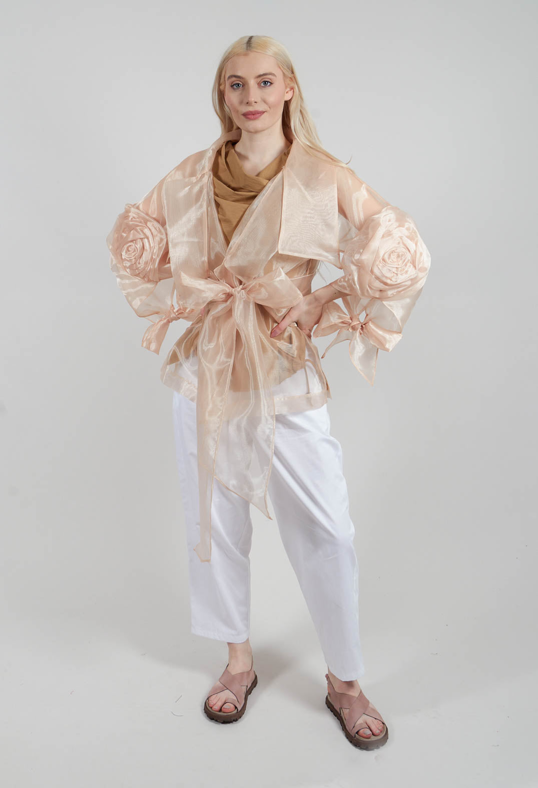 Sheer Jacket in Beige