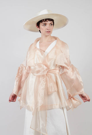 Sheer Jacket in Beige