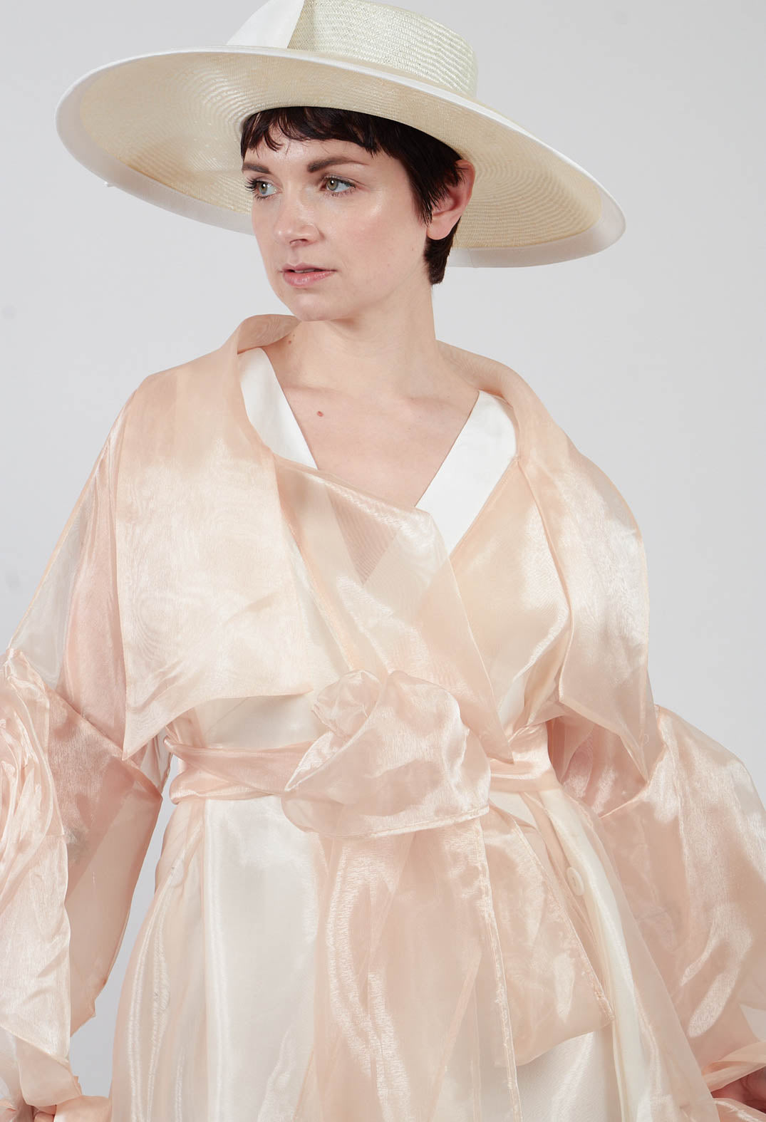 Sheer Jacket in Beige