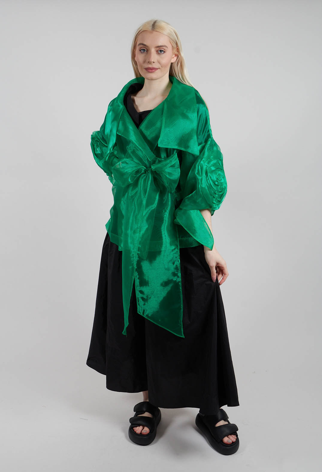 Sheer Jacket in Green