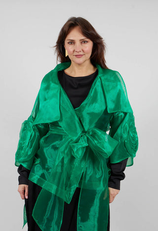Sheer Jacket in Green
