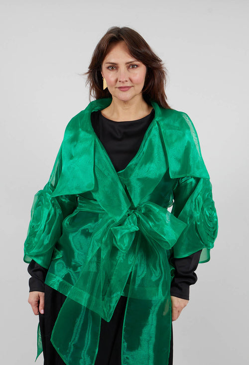 Sheer Jacket in Green
