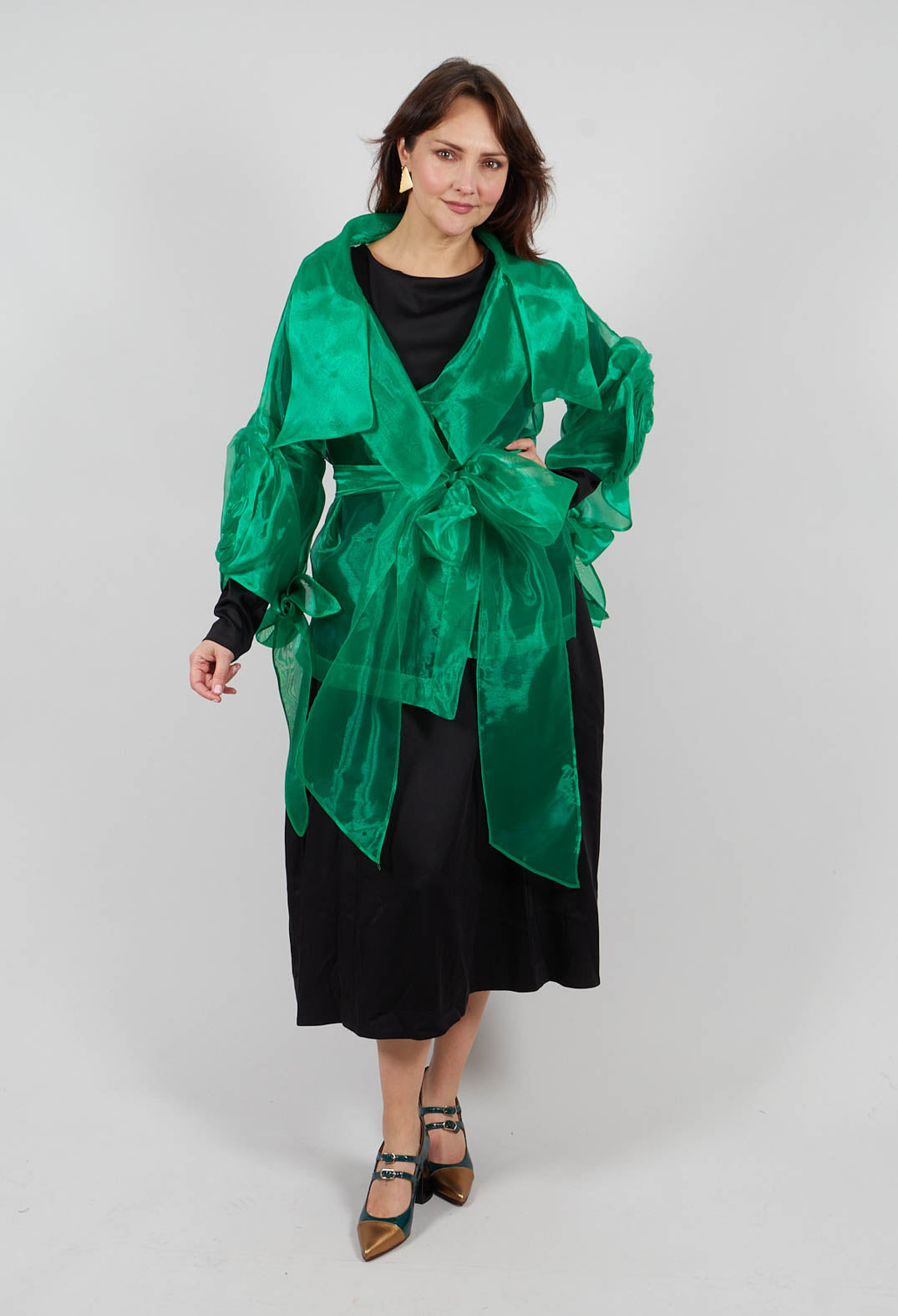 Sheer Jacket in Green