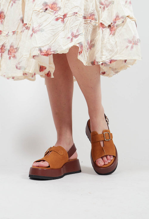 Ikasu Shoes in Ante Cognac