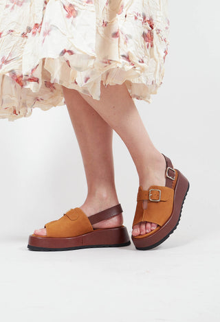 Ikasu Shoes in Ante Cognac