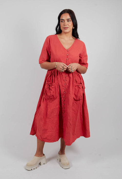 Bonnie Dress in Rose