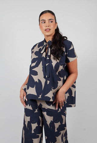 Stampa Corda and Comet