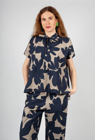 Stampa Corda and Comet