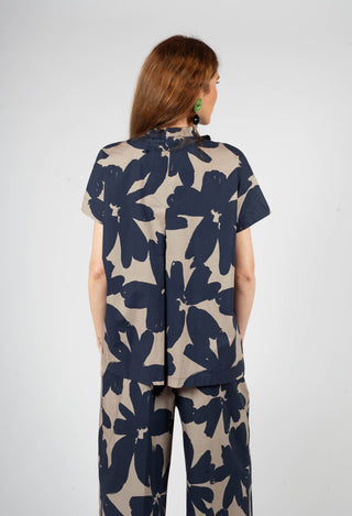 Stampa Corda and Comet