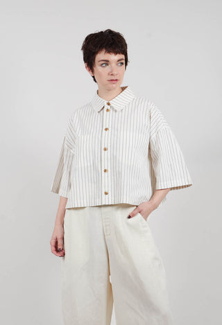Cropped Shirt in Off White Stripe