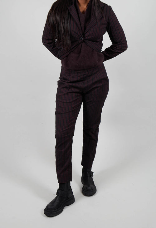 Pull On Slim Fit Trousers in Purple Stripe - 1080102