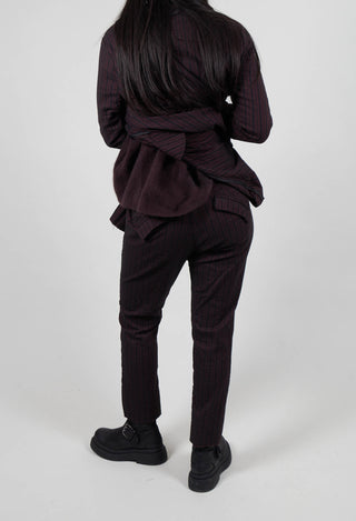Pull On Slim Fit Trousers in Purple Stripe - 1080102