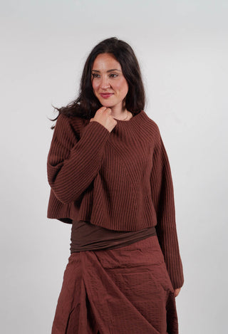 Ribbed Jumper in Henna  - 2350710