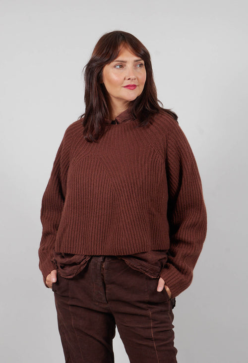 Ribbed Jumper in Henna  - 2350710
