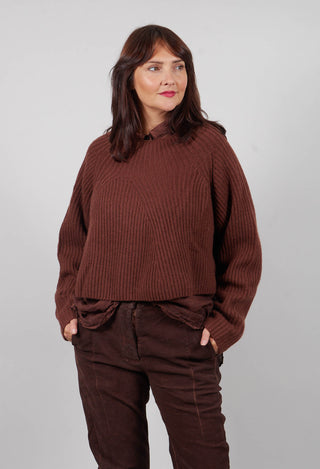 Ribbed Jumper in Henna  - 2350710