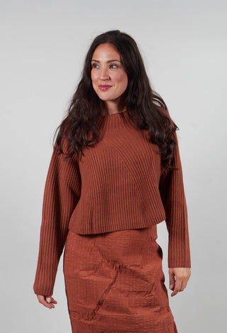 Ribbed Jumper in Terracotta  - 2350710