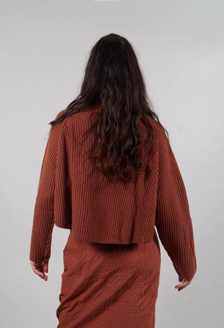 Ribbed Jumper in Terracotta  - 2350710