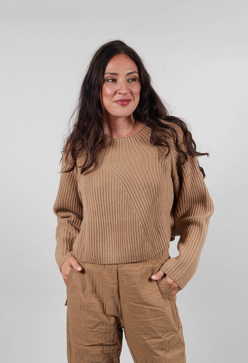 Ribbed Jumper in Clay  - 2350710