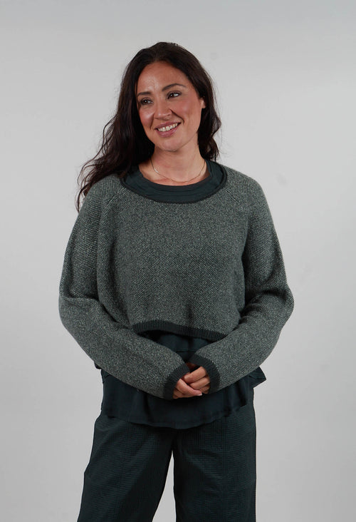 Cropped Jumper in Forest Park Jacquard  - 3270703