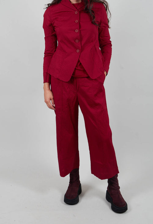 Cropped Wide Leg Trousers in Lava - 3420105