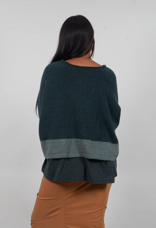 Contrast Trim Jumper in Forest Park  - 3480702