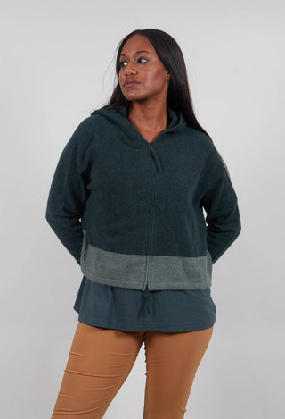 Contrast Trim Cardigan in Forest Park  - 3487103