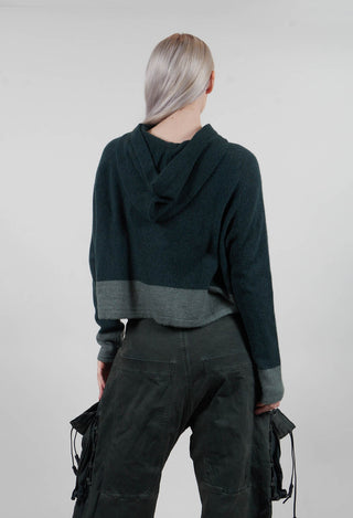 Contrast Trim Cardigan in Forest Park  - 3487103