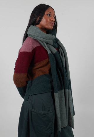 Block Stripe Scarf in Forest Park  - 3487705