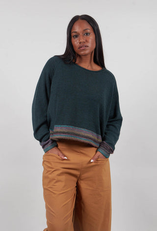 Cropped Boxy Jumper in Forest Stripe  - 3720702