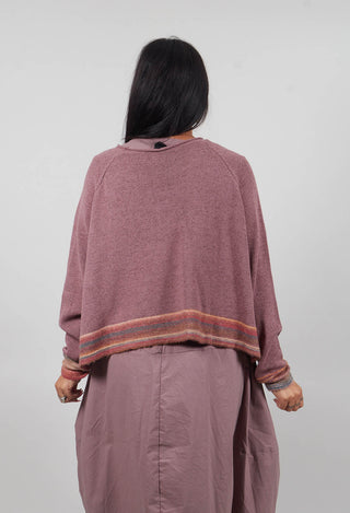 Cropped Boxy Jumper in Crystal Stripe - 3720702
