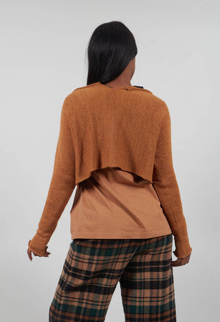 Cropped Fit Jumper in Bronze - 3720712