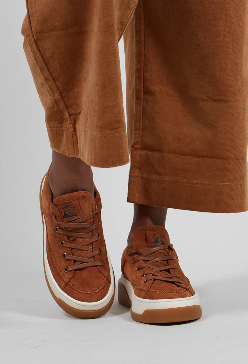 Suede Lace Up Pumps in Bronze  - 3985206