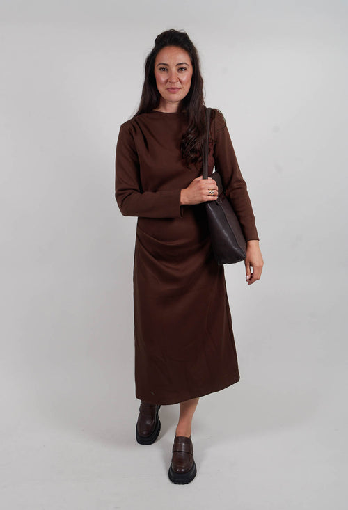 Ruched Dress in Rum Raisin