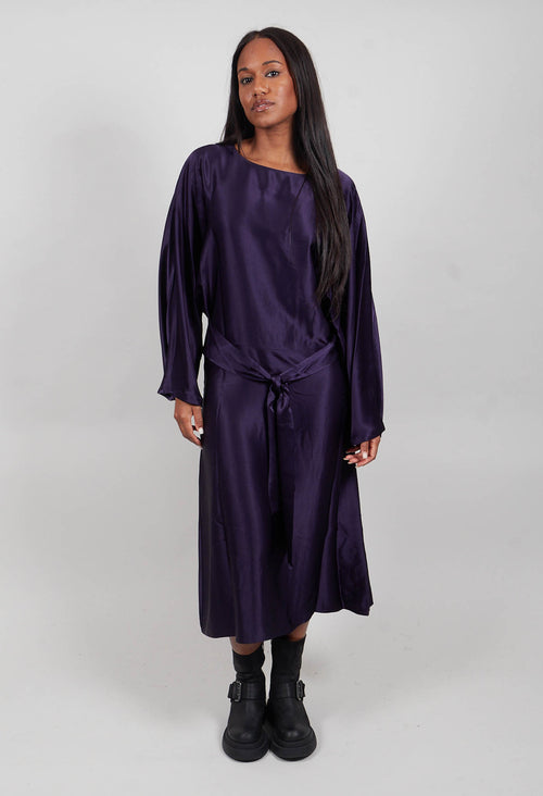 Artemide Dress in Mirtillo