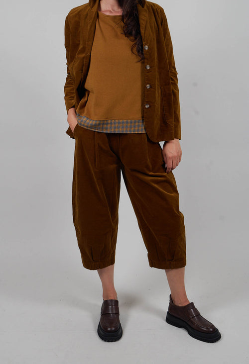 Bianco V Trousers in Caramello