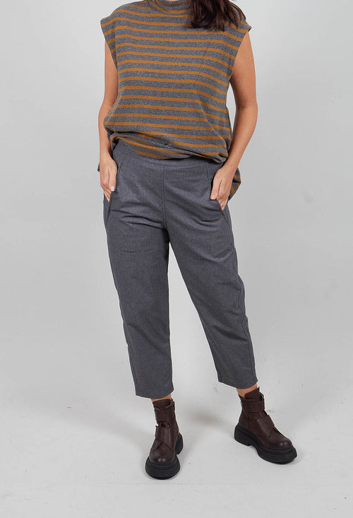 Terra D Trousers in Grigio