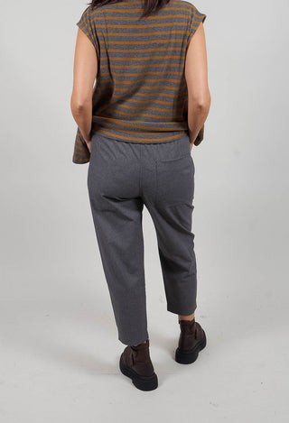 Terra D Trousers in Grigio