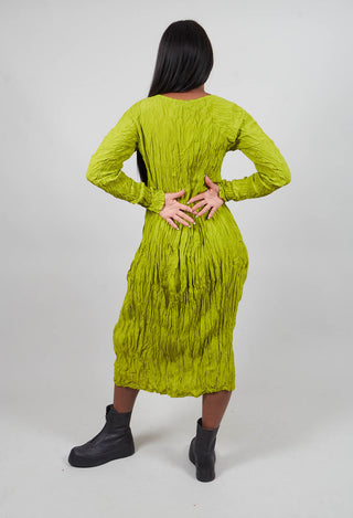 Regen Dress in Kornweihe