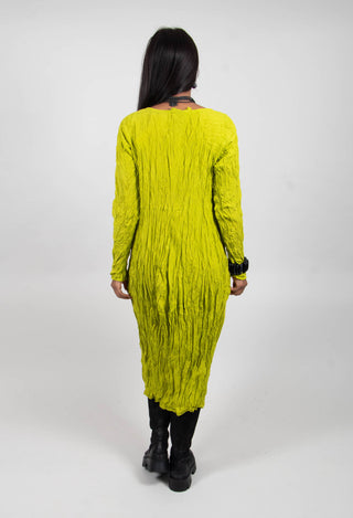 Regen Dress in Kornweihe