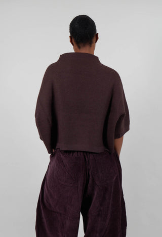 High Neck Ssort Sleeved Jumper in Aubergine