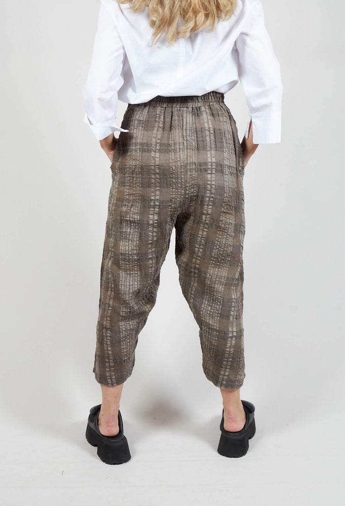 Peg Trousers in Brown