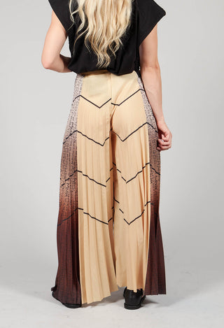 Pleated Trousers in Multicolor