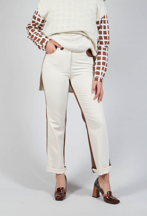 Leather Trousers in Cream / Brown