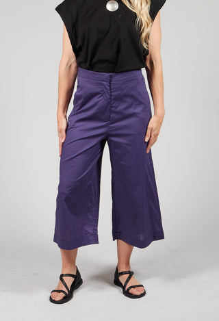 Wide Leg Culottes in Nebelung Purple